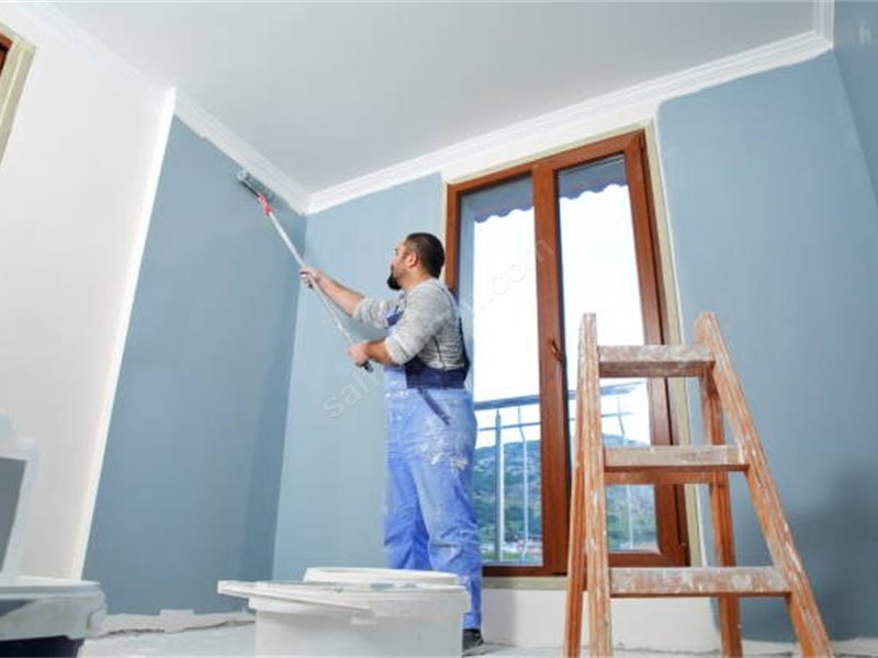 Develi Boya Badanacı