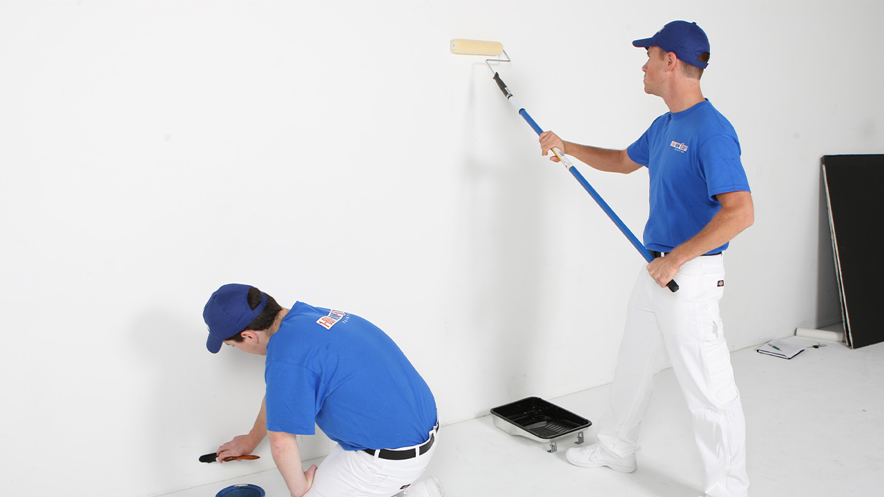 Develi Boya Badanacı